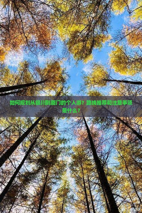 如何规划从银川到厦门的个人游？路线推荐和注意事项是什么？