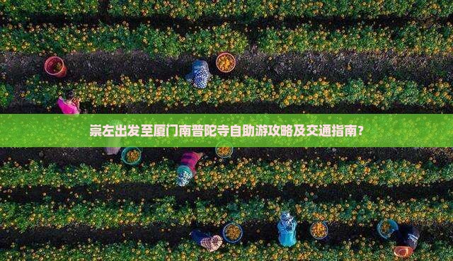 崇左出发至厦门南普陀寺自助游攻略及交通指南？