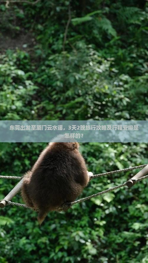 东莞出发至厦门云水谣，3天2晚旅行攻略及行程安排是怎样的？