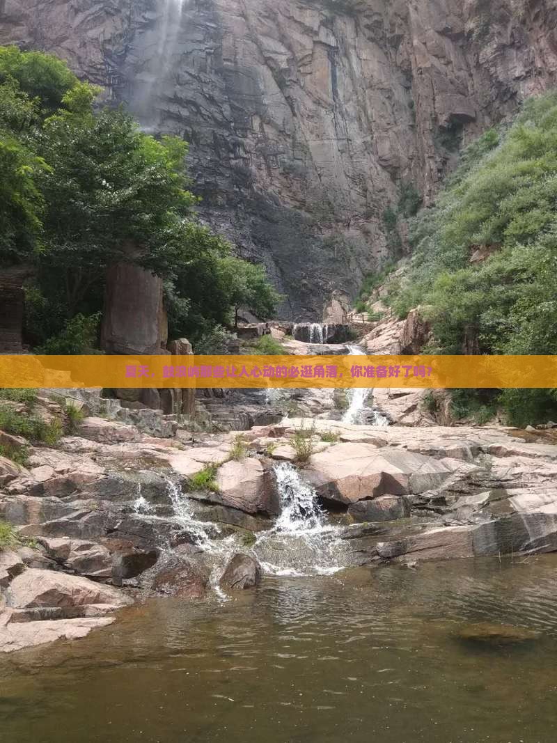 夏天，鼓浪屿那些让人心动的必逛角落，你准备好了吗？