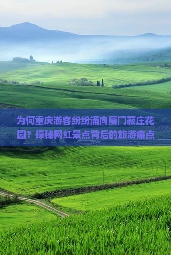 为何重庆游客纷纷涌向厦门菽庄花园？探秘网红景点背后的旅游痛点！
