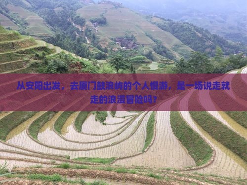 从安阳出发，去厦门鼓浪屿的个人慢游，是一场说走就走的浪漫冒险吗？