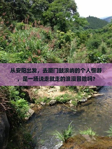 从安阳出发，去厦门鼓浪屿的个人慢游，是一场说走就走的浪漫冒险吗？