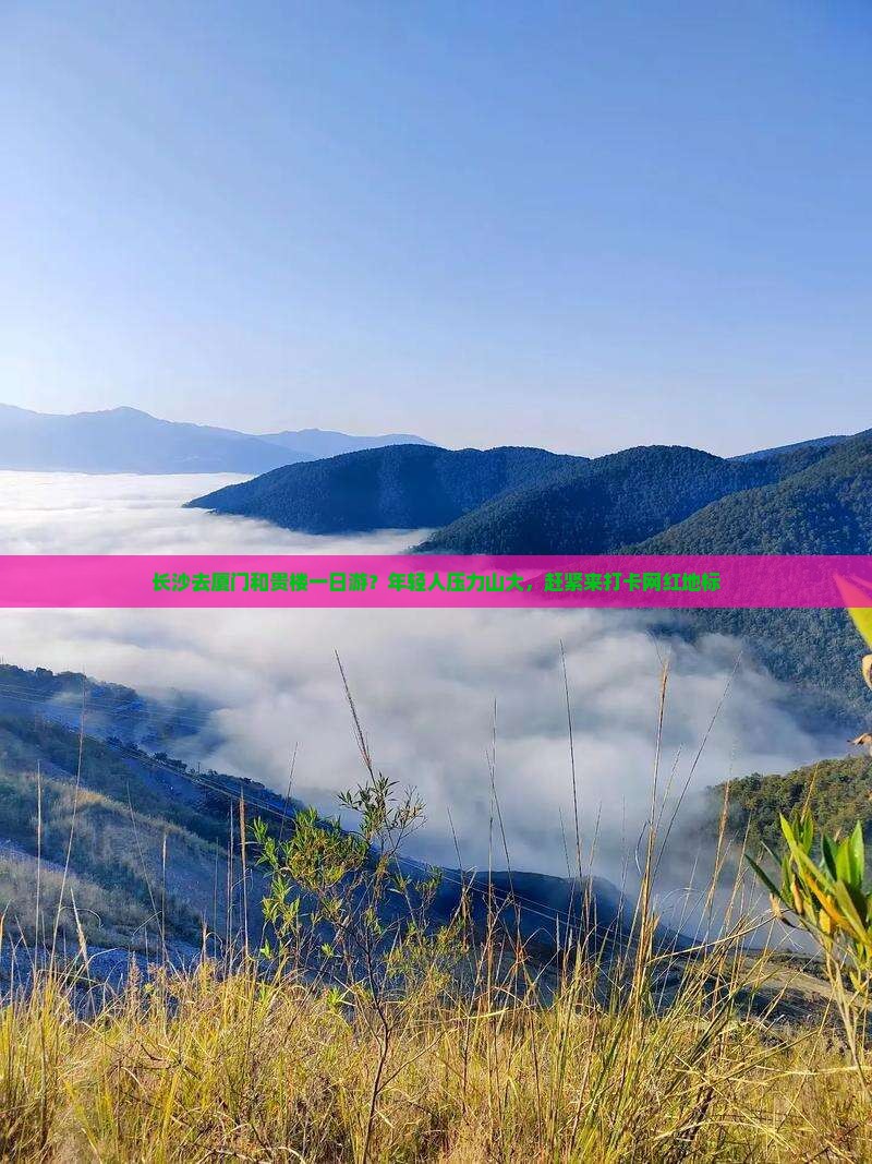长沙去厦门和贵楼一日游？年轻人压力山大，赶紧来打卡网红地标
