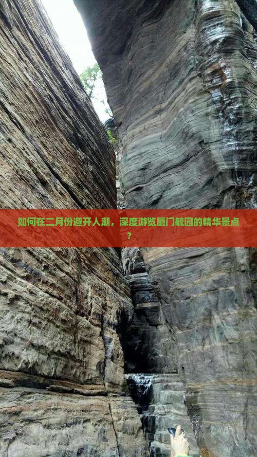 如何在二月份避开人潮，深度游览厦门毓园的精华景点？