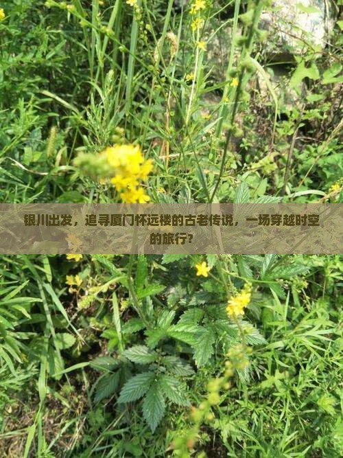 银川出发，追寻厦门怀远楼的古老传说，一场穿越时空的旅行？