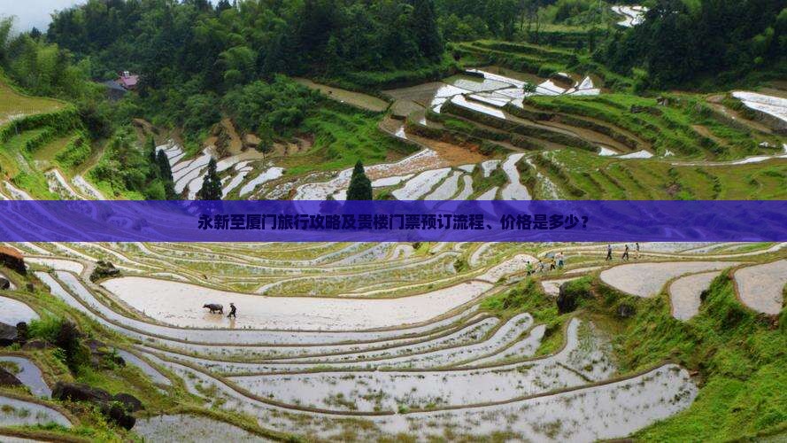 永新至厦门旅行攻略及贵楼门票预订流程、价格是多少？