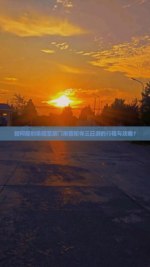 如何规划阜阳至厦门南普陀寺三日游的行程与攻略？