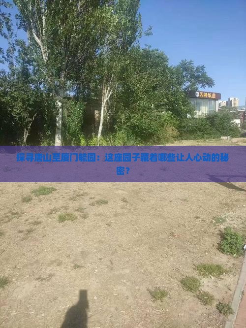 探寻唐山至厦门毓园：这座园子藏着哪些让人心动的秘密？