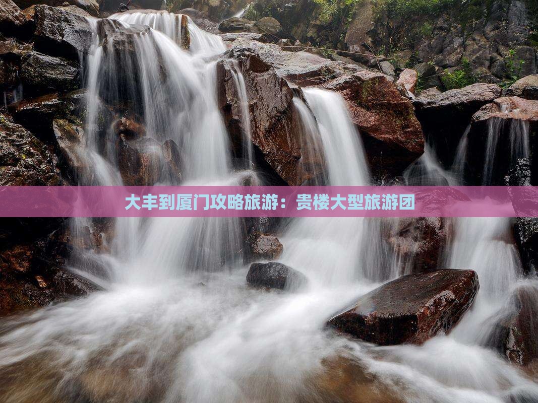 大丰到厦门和贵楼大型旅游团