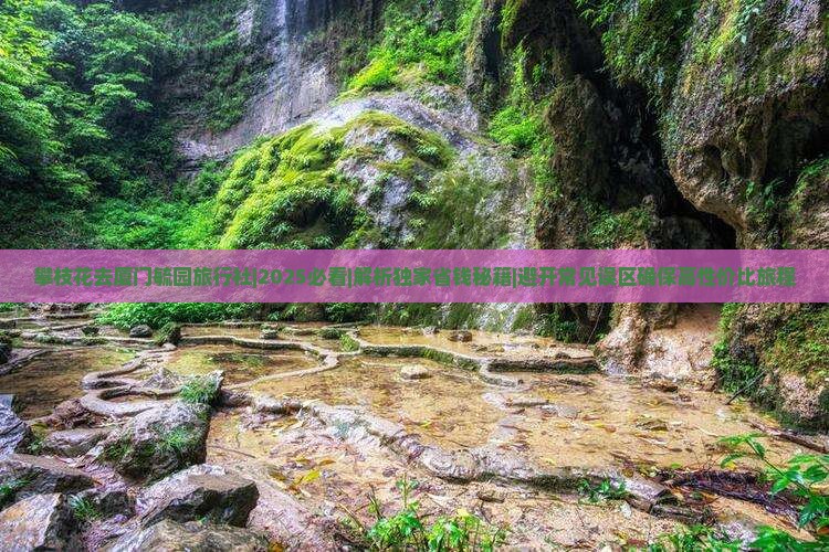 攀枝花去厦门毓园旅行社