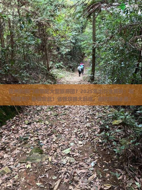 抚州到厦门南普陀大型旅游团