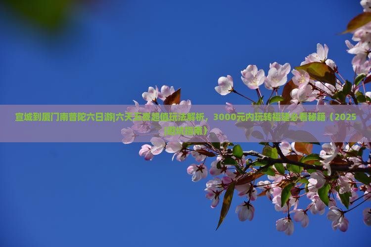 宣城到厦门南普陀六日游