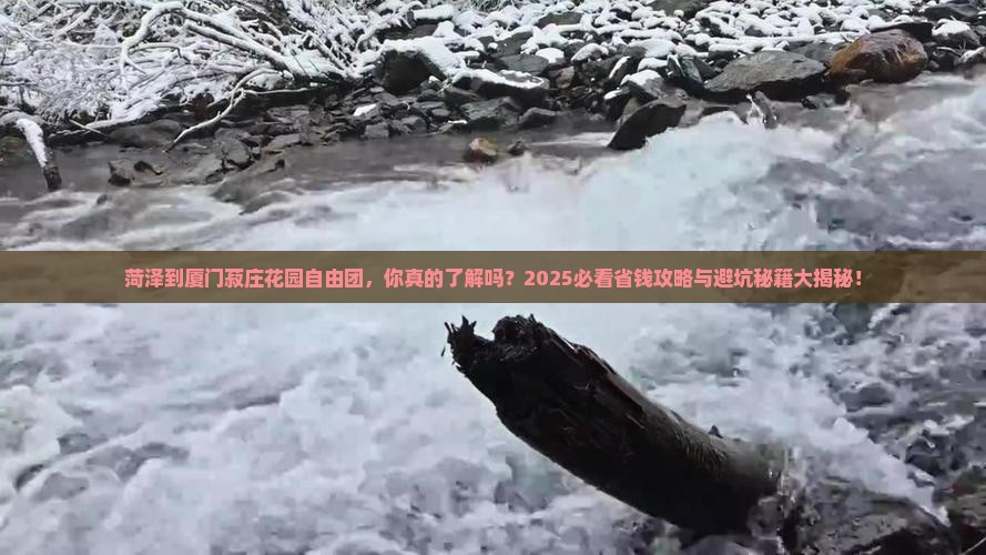菏泽到厦门菽庄花园自由团