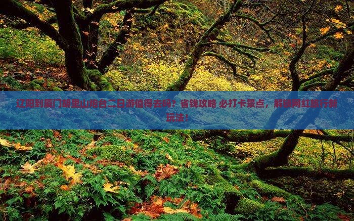 辽阳到厦门胡里山炮台二日游
