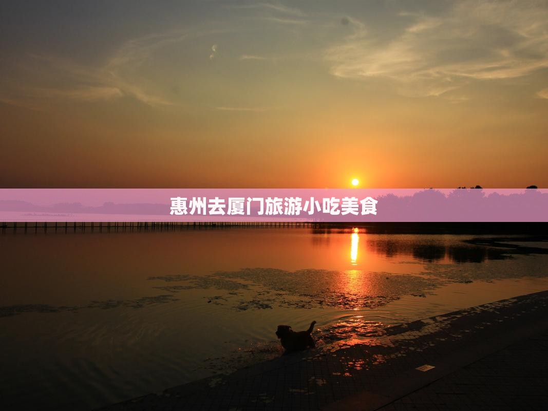 惠州去厦门旅游小吃