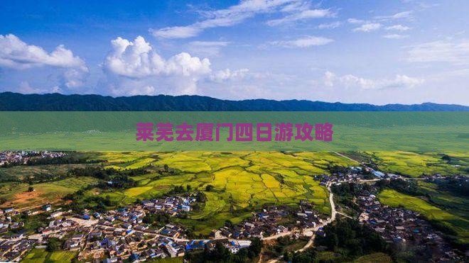 莱芜去厦门四日游