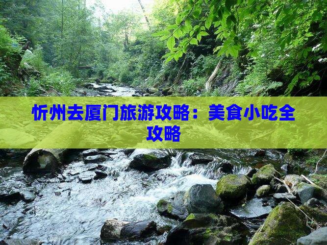忻州去厦门旅游小吃