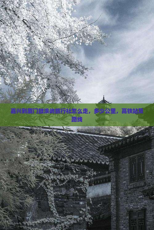 嘉兴到厦门鼓浪屿旅行社
