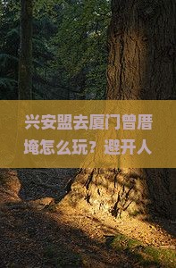 兴安盟去厦门曾厝埯哪里玩