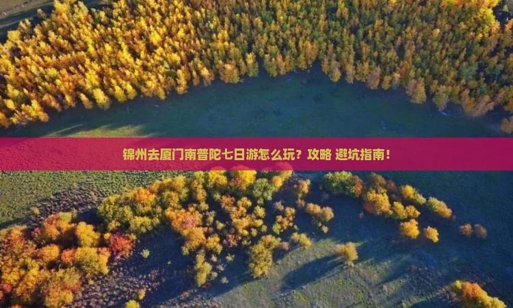 锦州去厦门南普陀七日游