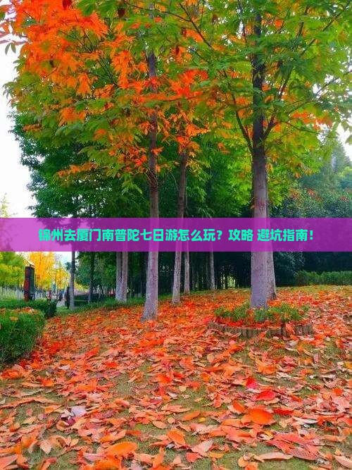 锦州去厦门南普陀七日游