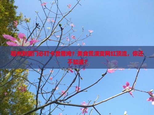 福州到厦门曾厝埯旅游小吃