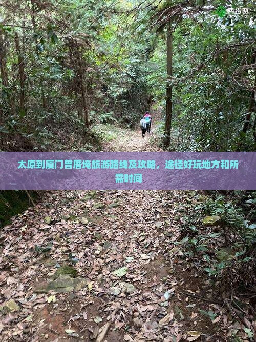 太原到厦门曾厝埯旅游