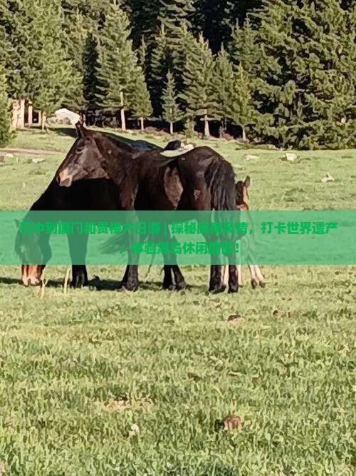巴中到厦门和贵楼六日游