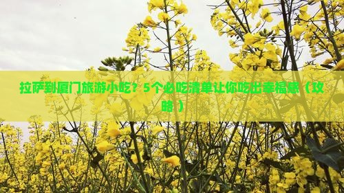 拉萨到厦门旅游小吃
