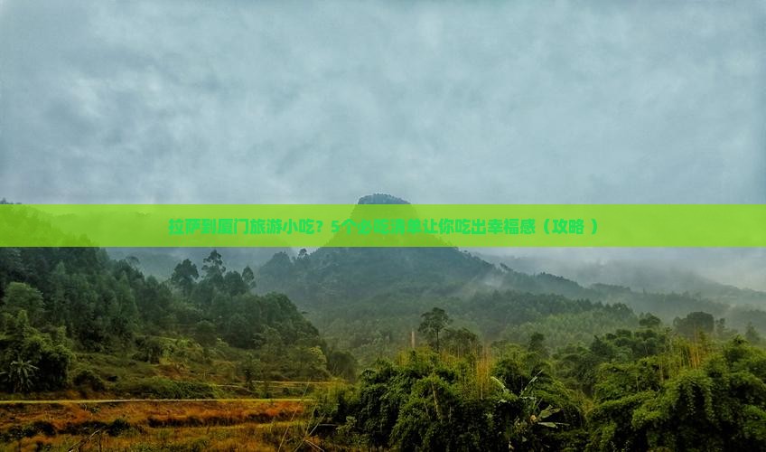 拉萨到厦门旅游小吃