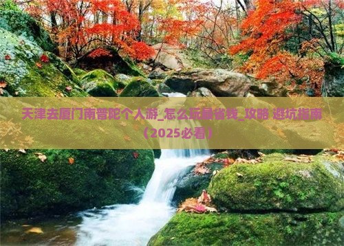 天津去厦门南普陀个人游