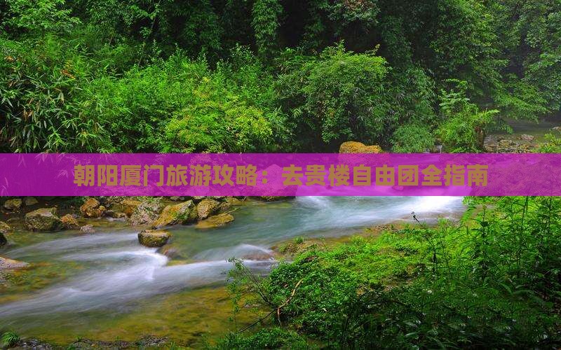 朝阳去厦门和贵楼自由团
