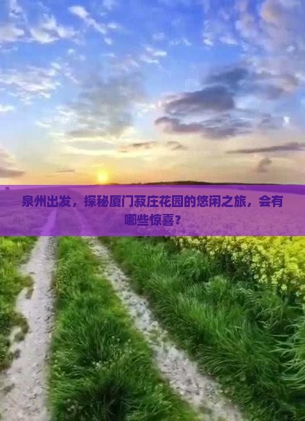 泉州出发，探秘厦门菽庄花园的悠闲之旅，会有哪些惊喜？