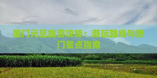 厦门元旦旅游攻略：游玩路线与热门景点指南