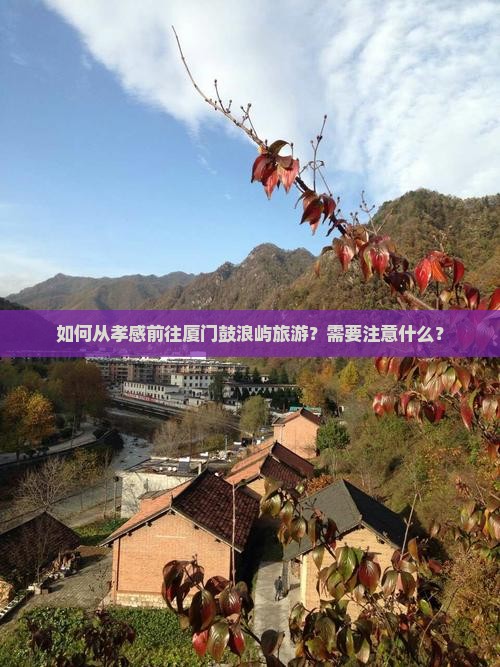 如何从孝感前往厦门鼓浪屿旅游？需要注意什么？