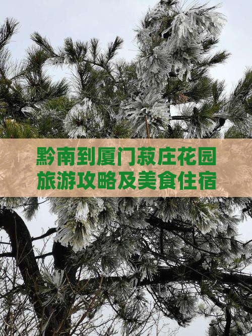 黔南到厦门菽庄花园旅游攻略及美食住宿推荐