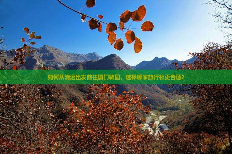 如何从清远出发前往厦门毓园，选择哪家旅行社更合适？