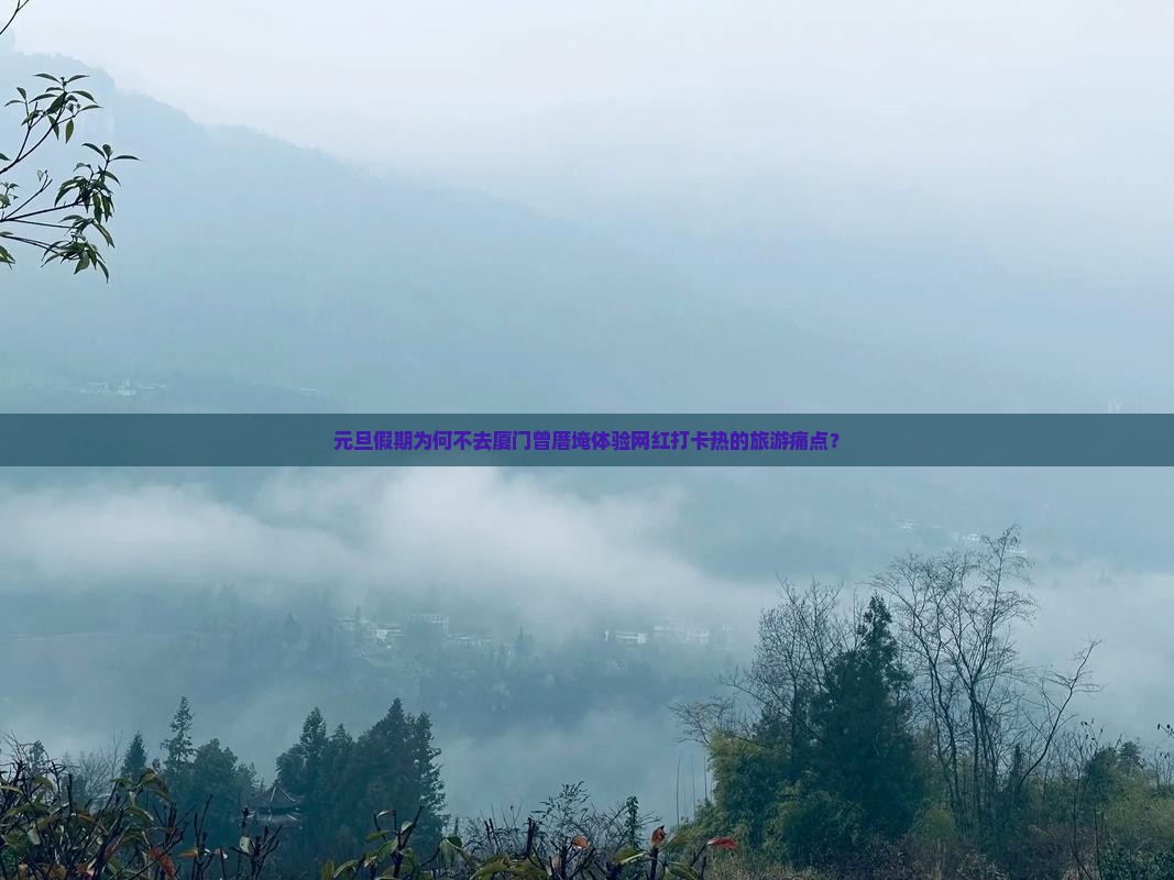元旦假期为何不去厦门曾厝埯体验网红打卡热的旅游痛点？