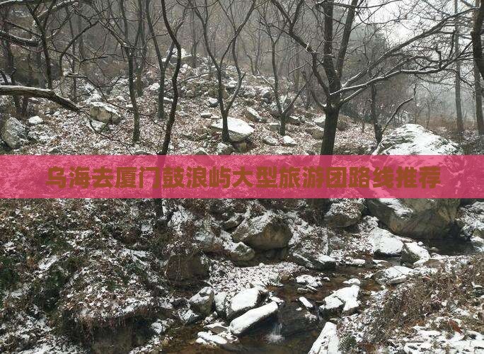 乌海去厦门鼓浪屿大型旅游团路线推荐