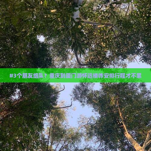 #3个朋友组队？重庆到厦门游怀远楼咋安排行程才不累