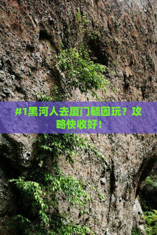 #1黑河人去厦门毓园玩？攻略快收好！