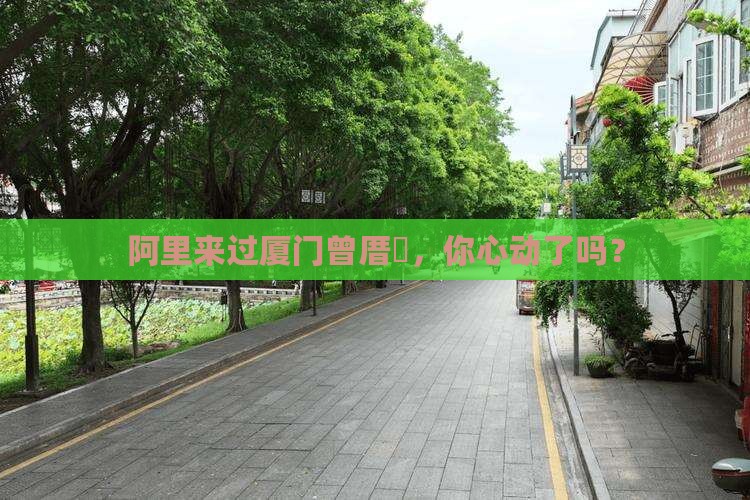 阿里来过厦门曾厝垵，你心动了吗？