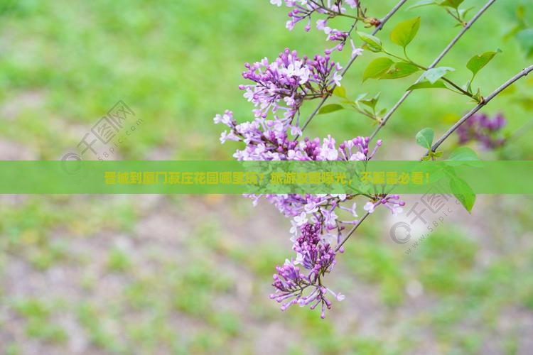 晋城到厦门菽庄花园哪里玩？旅游攻略曝光，不踩雷必看！