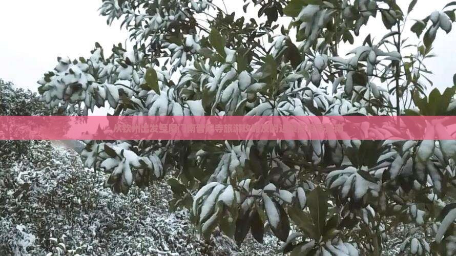 从钦州出发至厦门南普陀寺旅游攻略及附近景点推荐指南