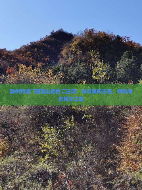 滁州到厦门胡里山炮台二日游：探寻海防古迹，领略海滨风光之旅