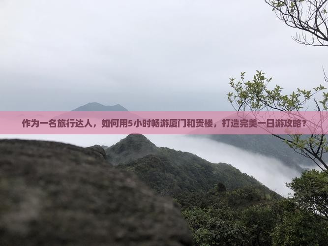 作为一名旅行达人，如何用5小时畅游厦门和贵楼，打造完美一日游攻略？