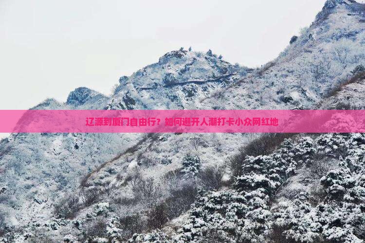 辽源到厦门自由行？如何避开人潮打卡小众网红地