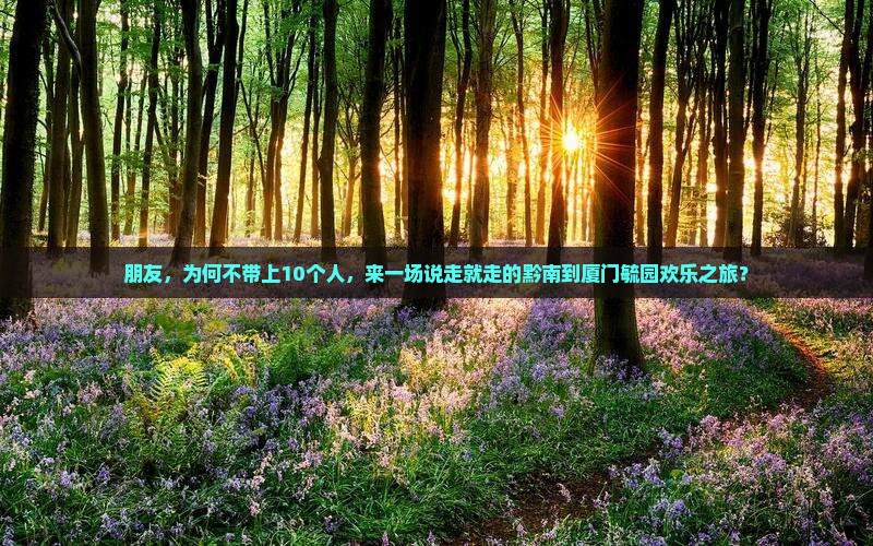 朋友，为何不带上10个人，来一场说走就走的黔南到厦门毓园欢乐之旅？