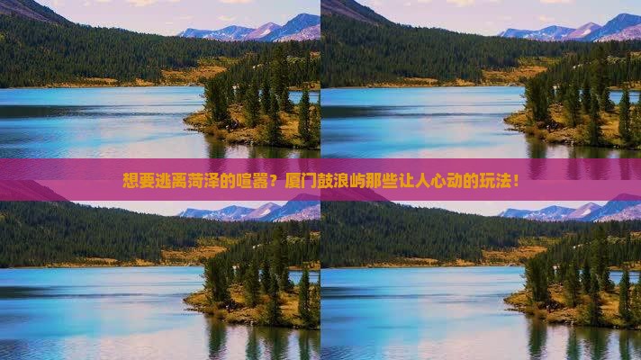 想要逃离菏泽的喧嚣？厦门鼓浪屿那些让人心动的玩法！